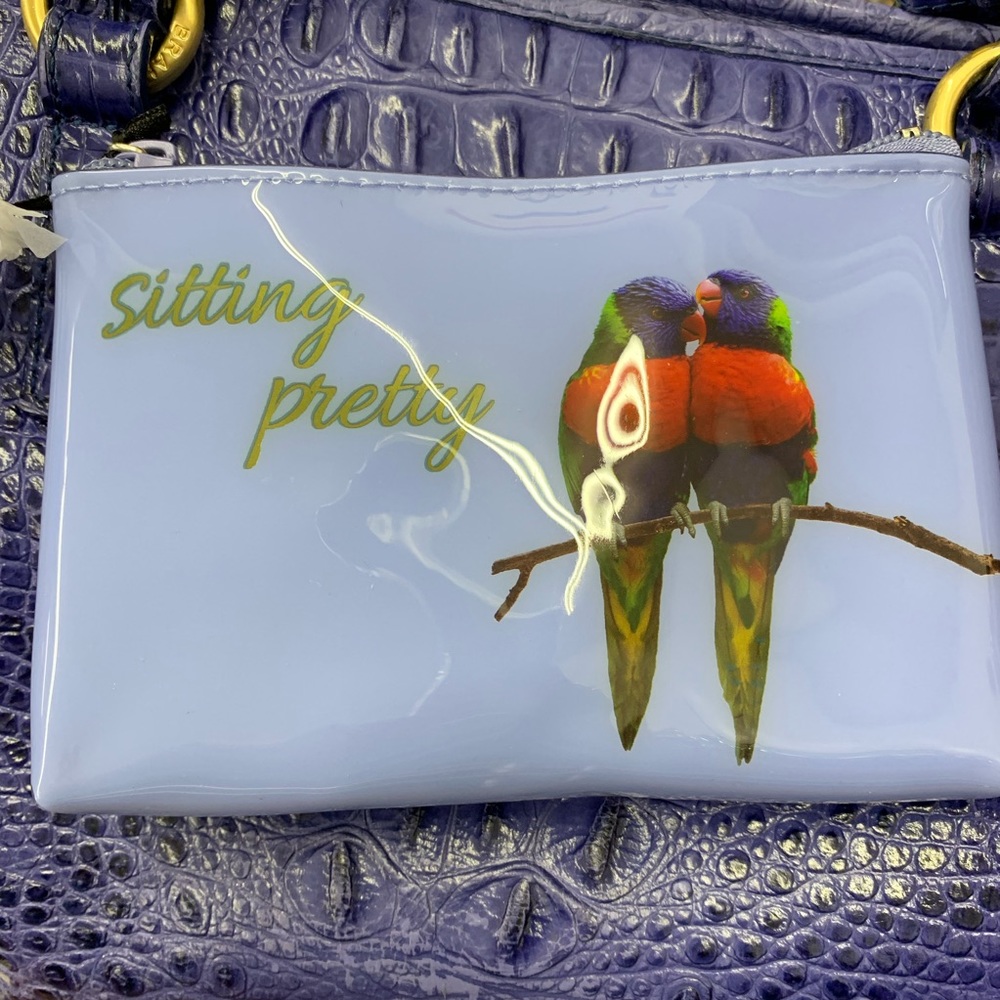 Catseye London sitting pretty parrots vinyl pouch